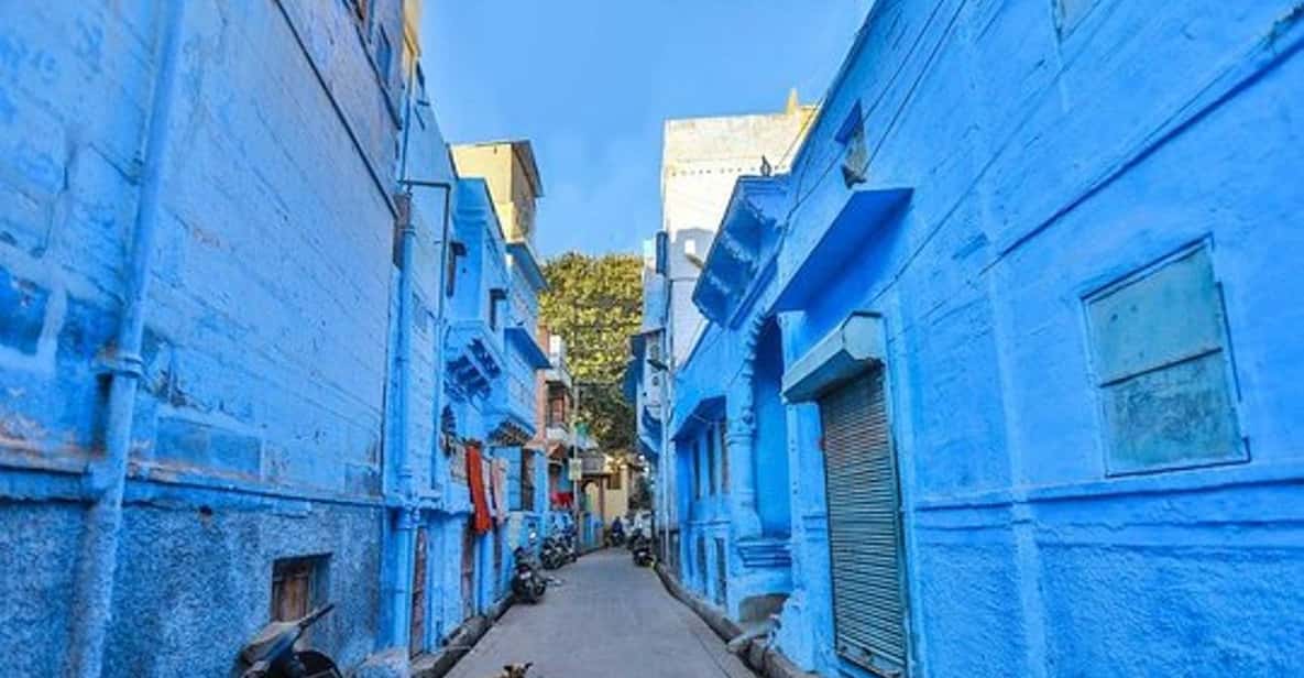 Your experience at Jodhpur Blue City Walking Tour