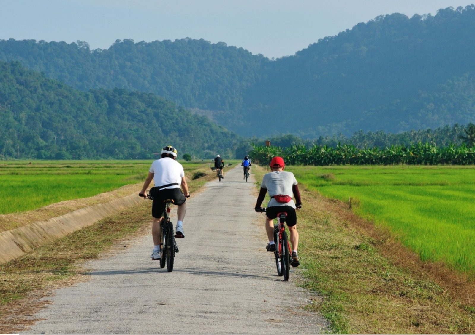 Balik Pulau Cycling Tour Through Penang's Countryside