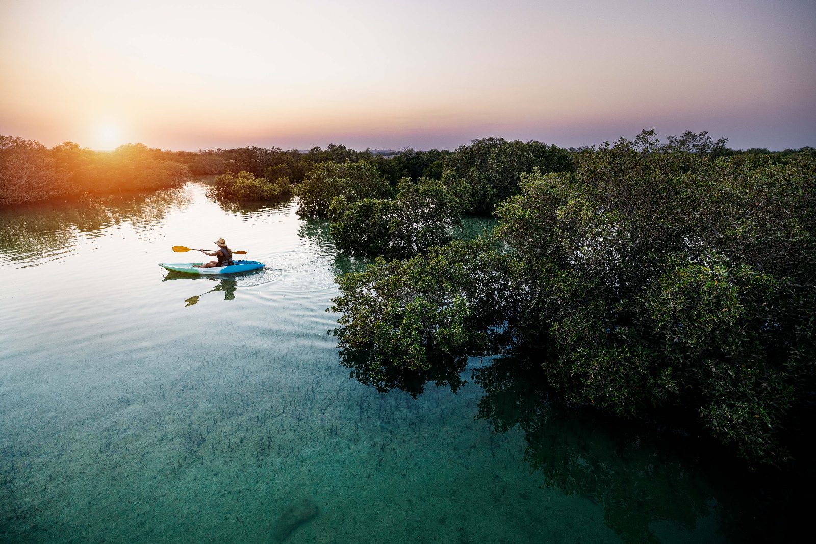 Mangrove Kayaking Abu Dhabi