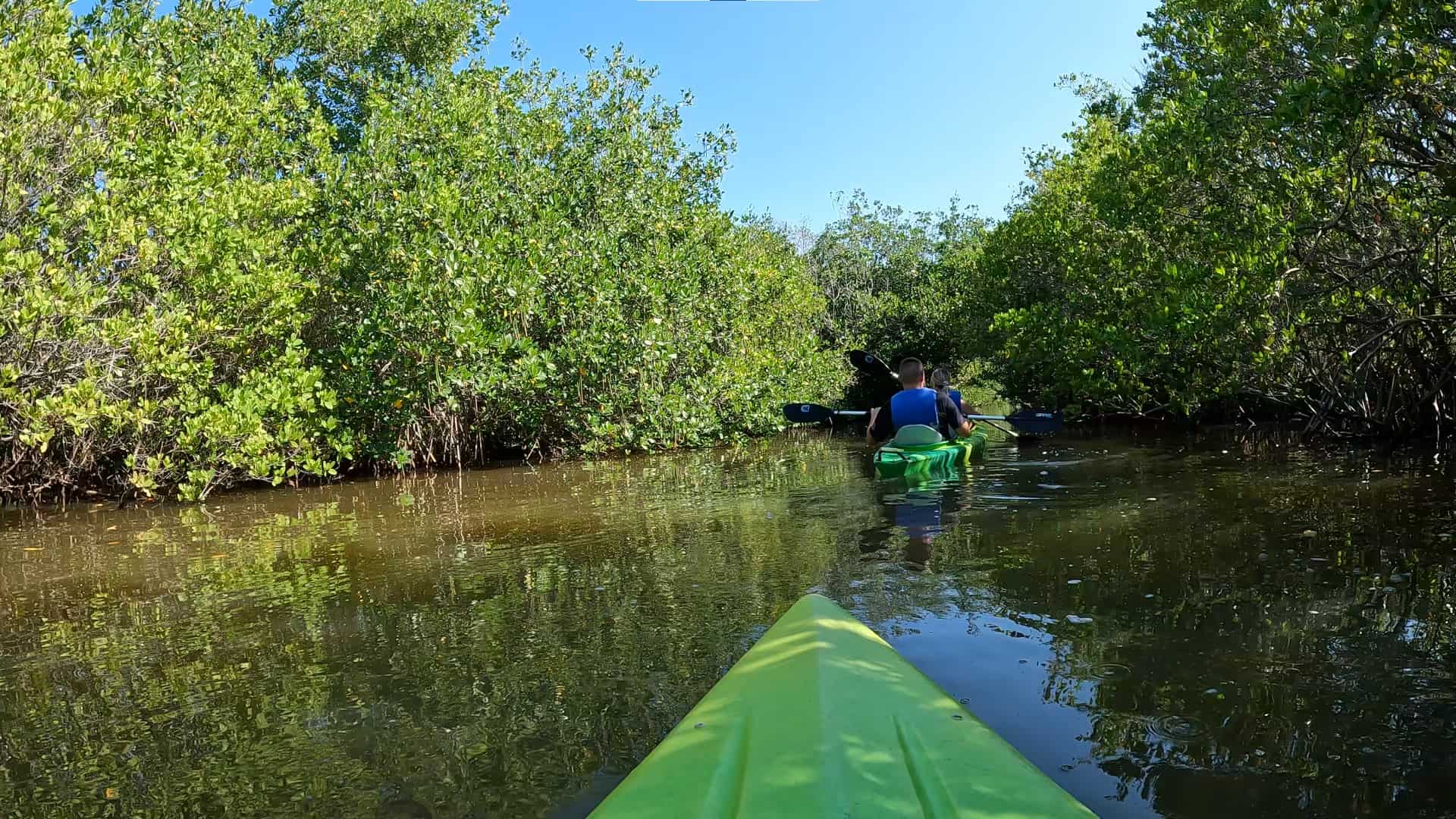 Your experience at Mangrove Kayaking Abu Dhabi