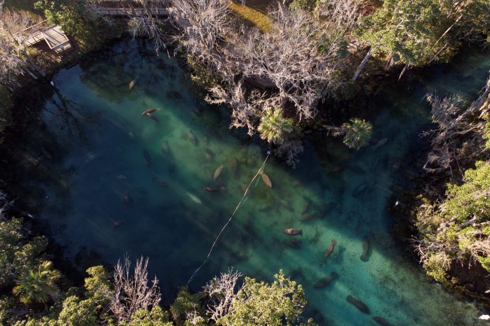 Crystal River Kayak Rental Guide