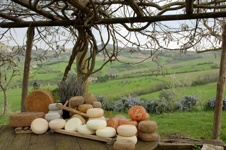 Pienza Cheese Tasting