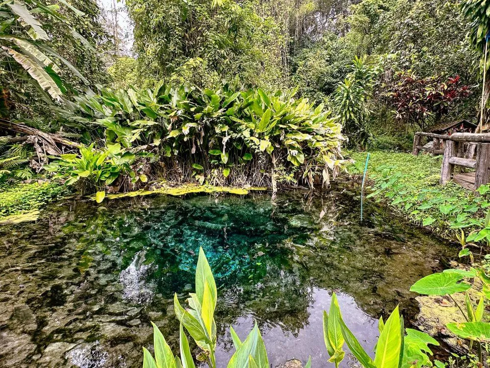 Nam Phu Chet Si Spring