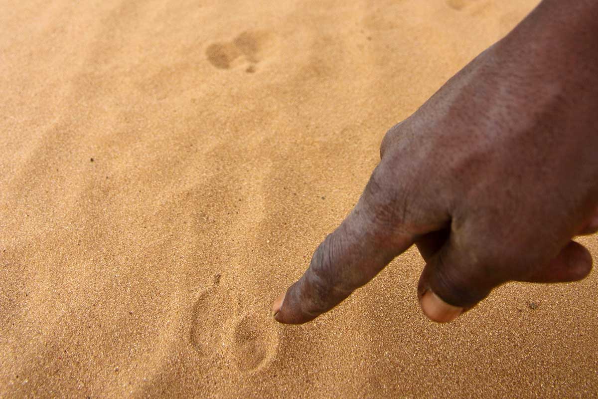 Your experience at Bushman Walk Windhoek