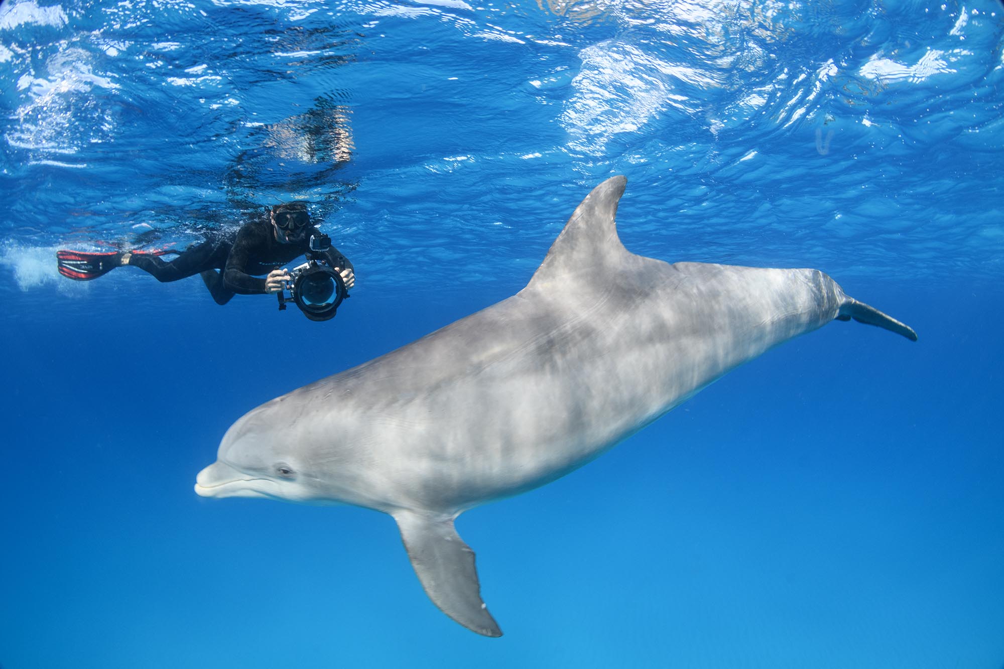 Your experience at Shell Island Dolphin and Snorkel Tour
