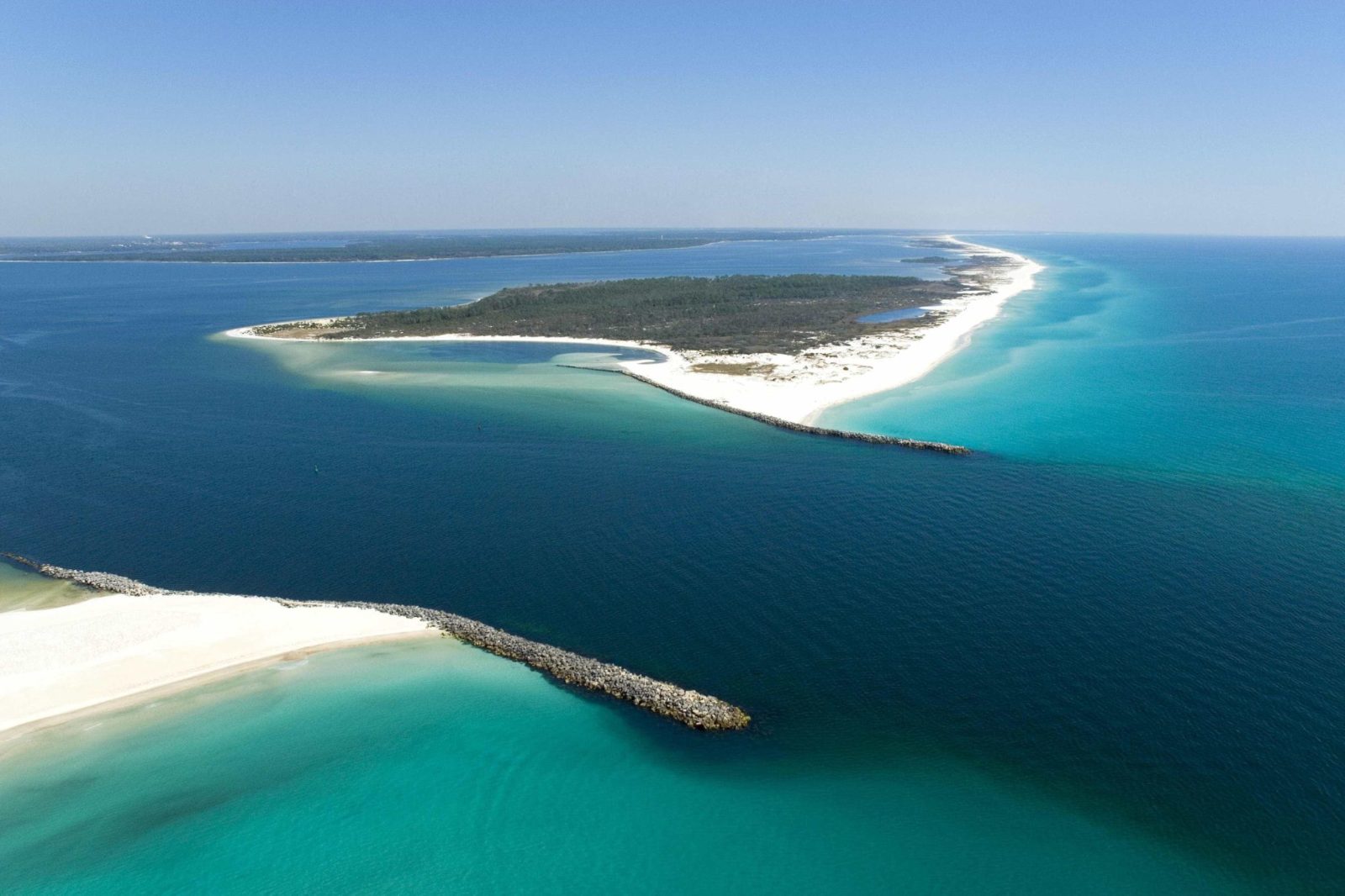 Shell Island Dolphin and Snorkel Tour Experience