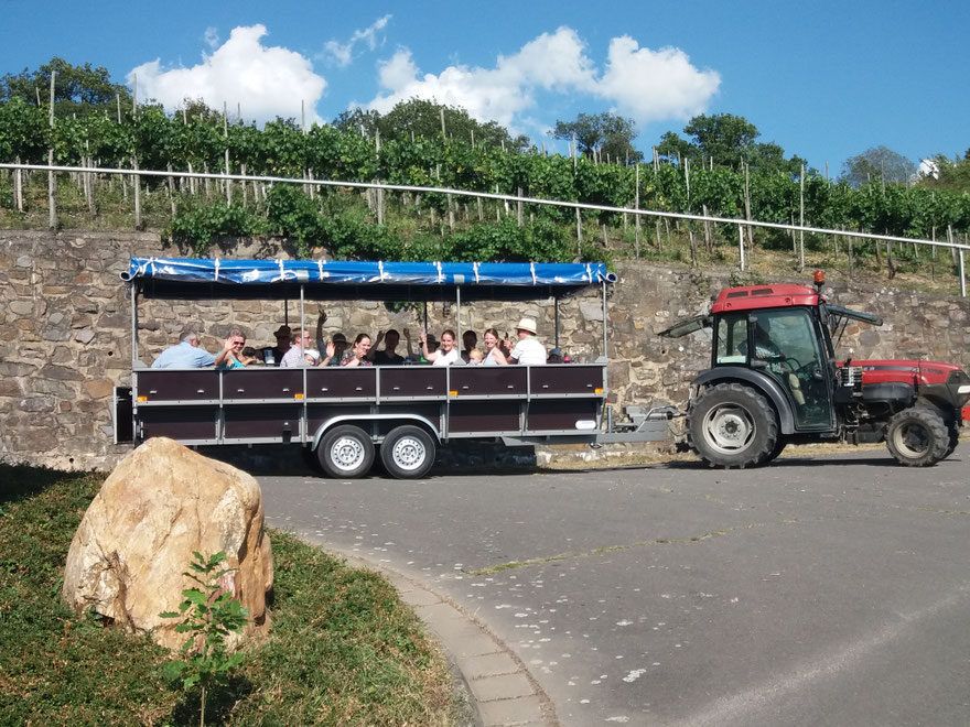 Your experience at Planwagenfahrt Mosel