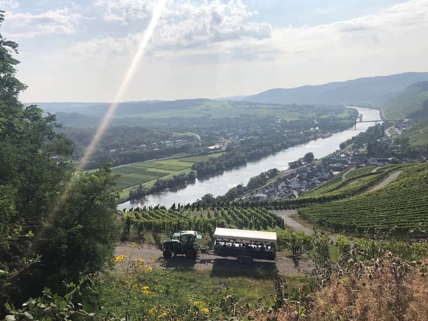 Planwagenfahrt Mosel Through Vineyard Countryside