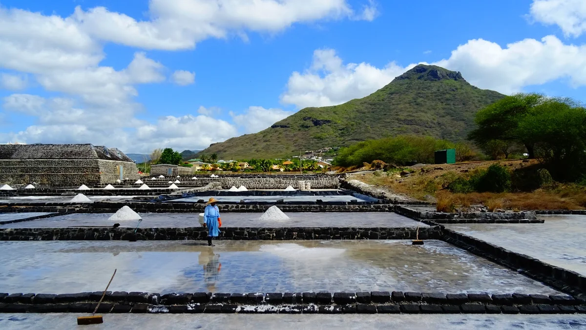 Salt Pans of Tamarin