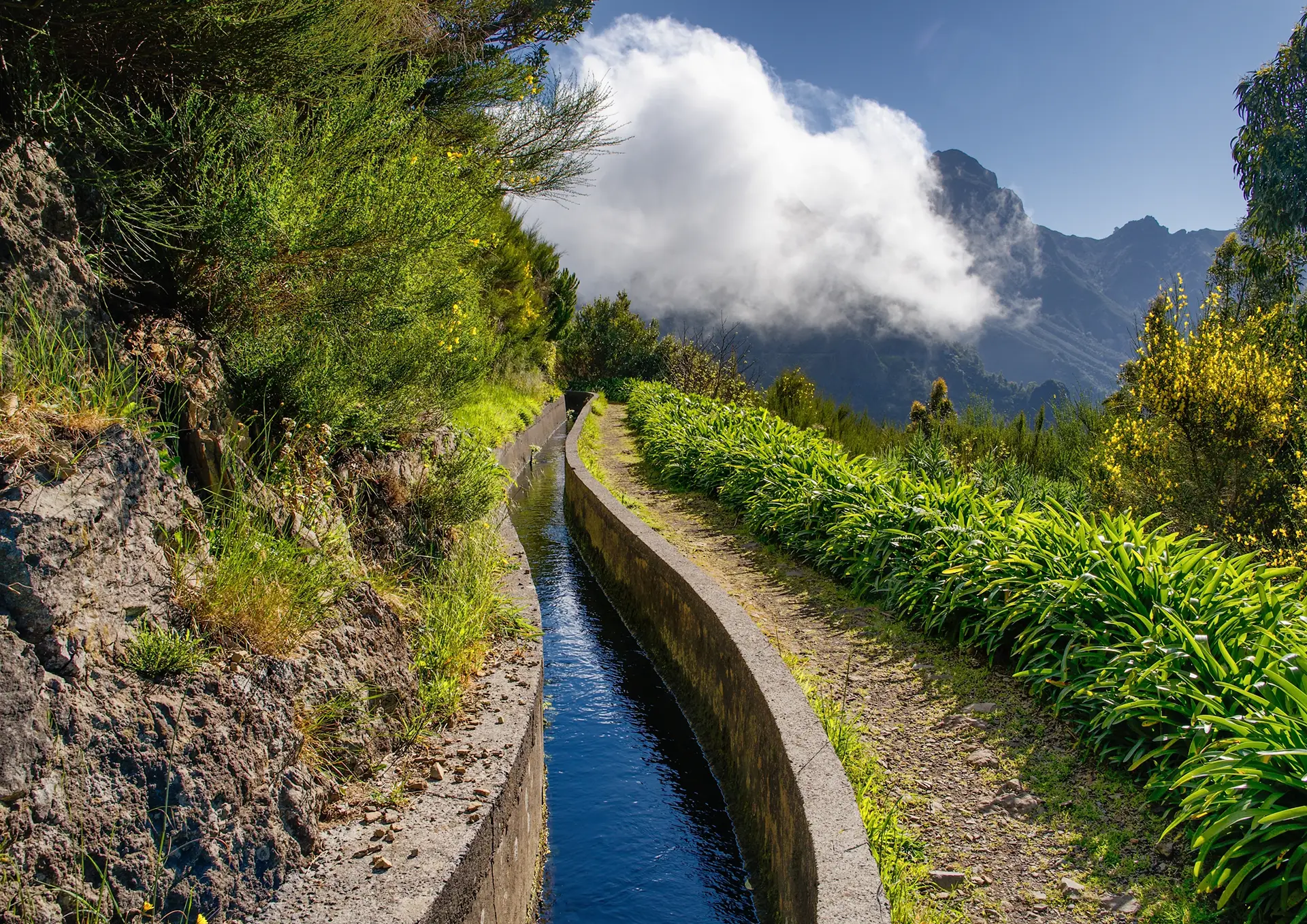 Serra De Agua Walk