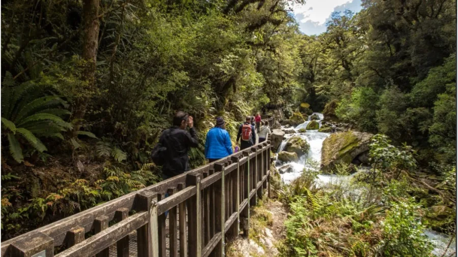 Milford Track Day Walk Overview