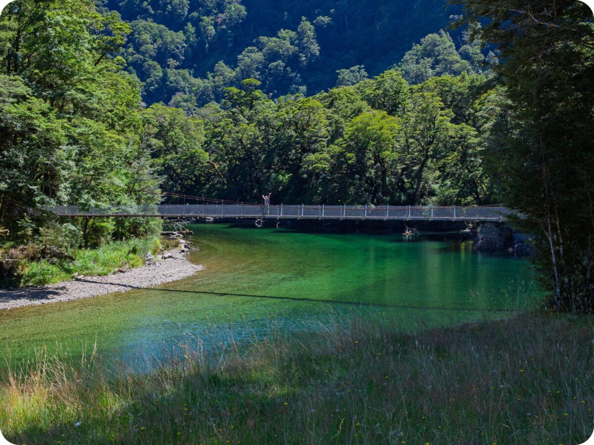 Your experience at Milford Track Day Walk