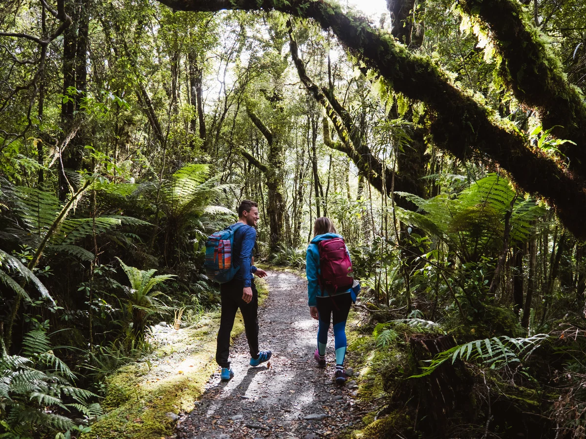 Milford Track Day Walk