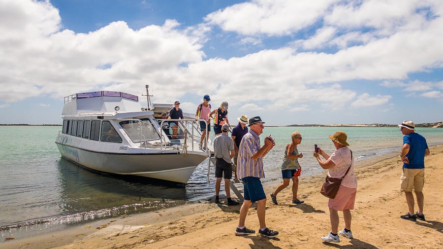 Your experience at Murray Mouth Cruise