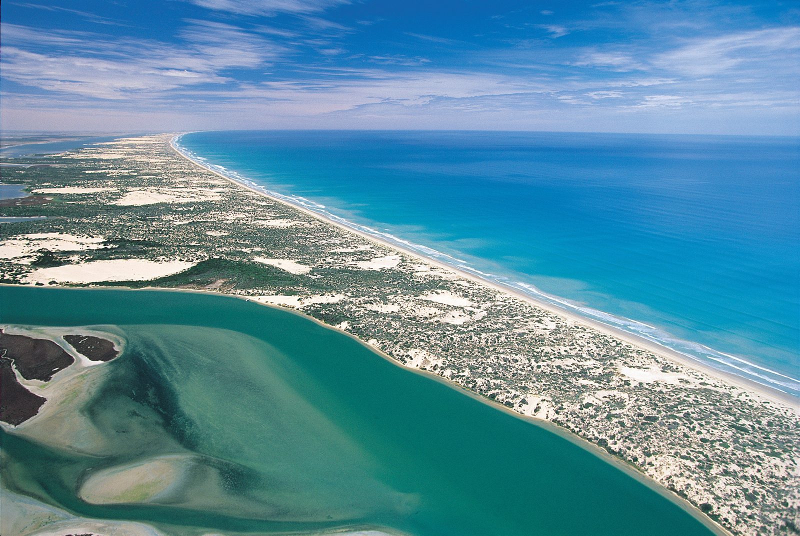 Murray Mouth Cruise Experience