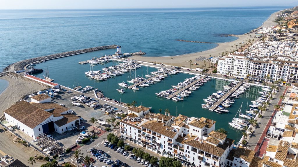 Duquesa Dolphin Tour Experience