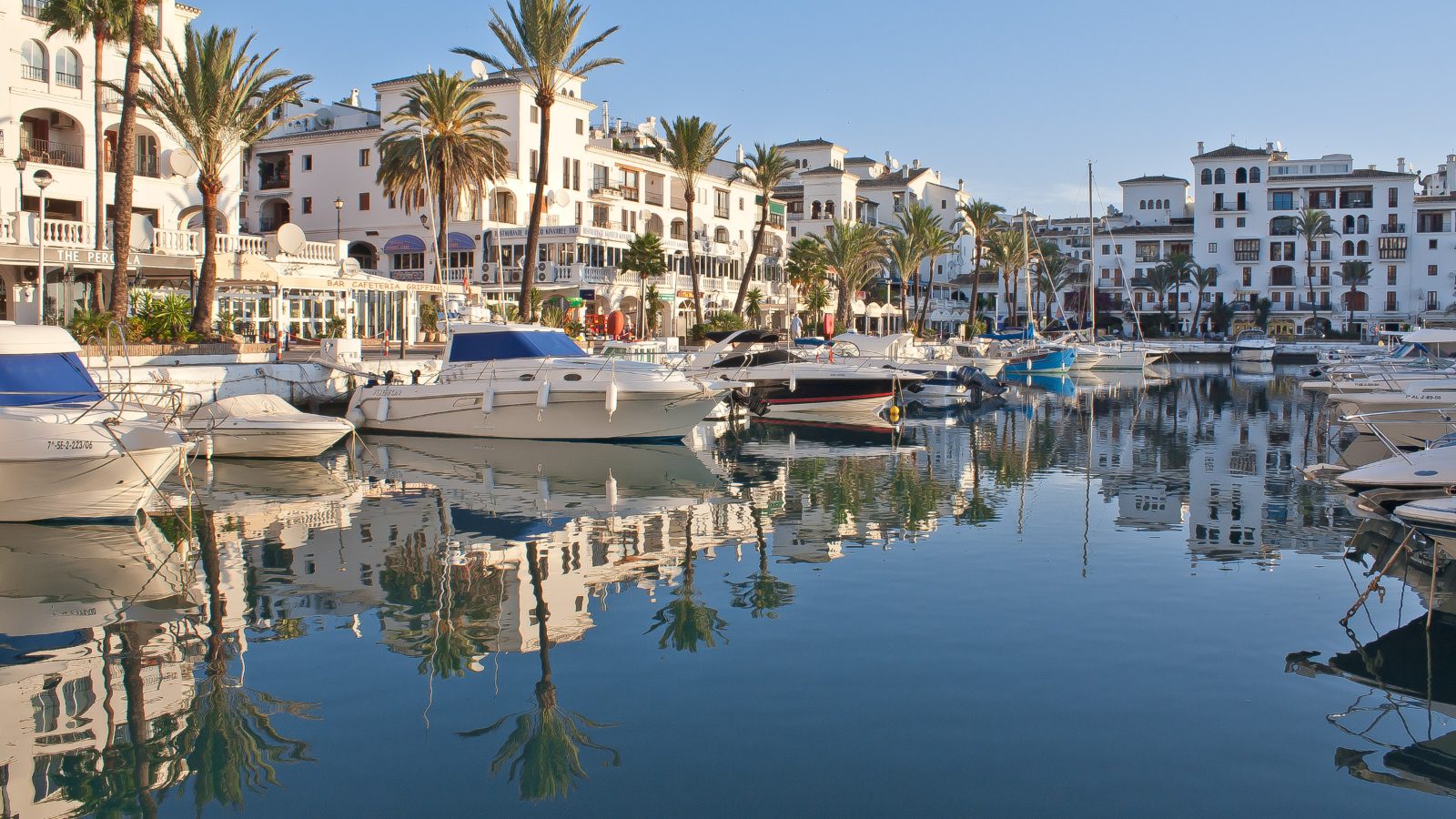 Duquesa Dolphin Tour