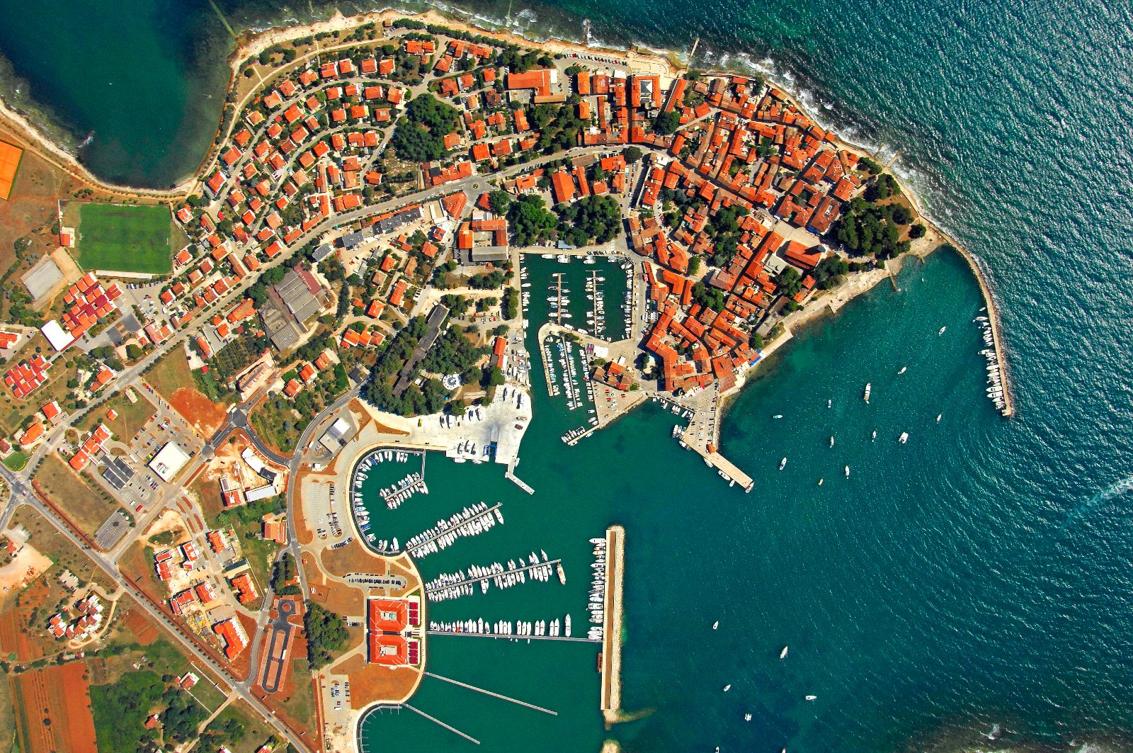 Novigrad Dolphin Tour Experience