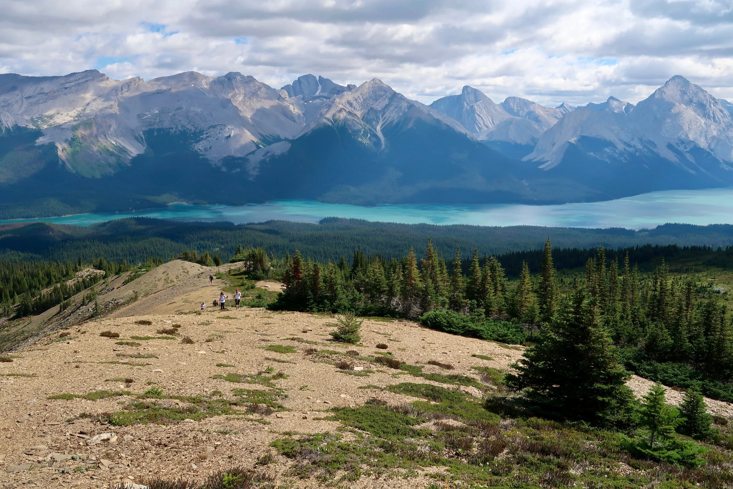 Bald Hills Trail