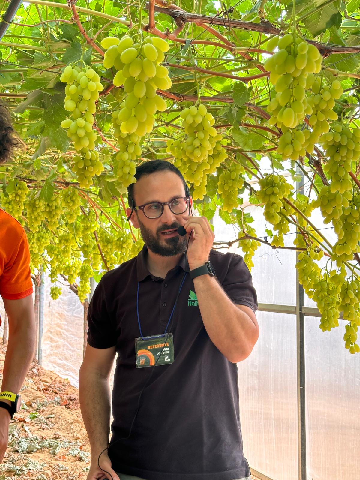 Vine Selection Gallery