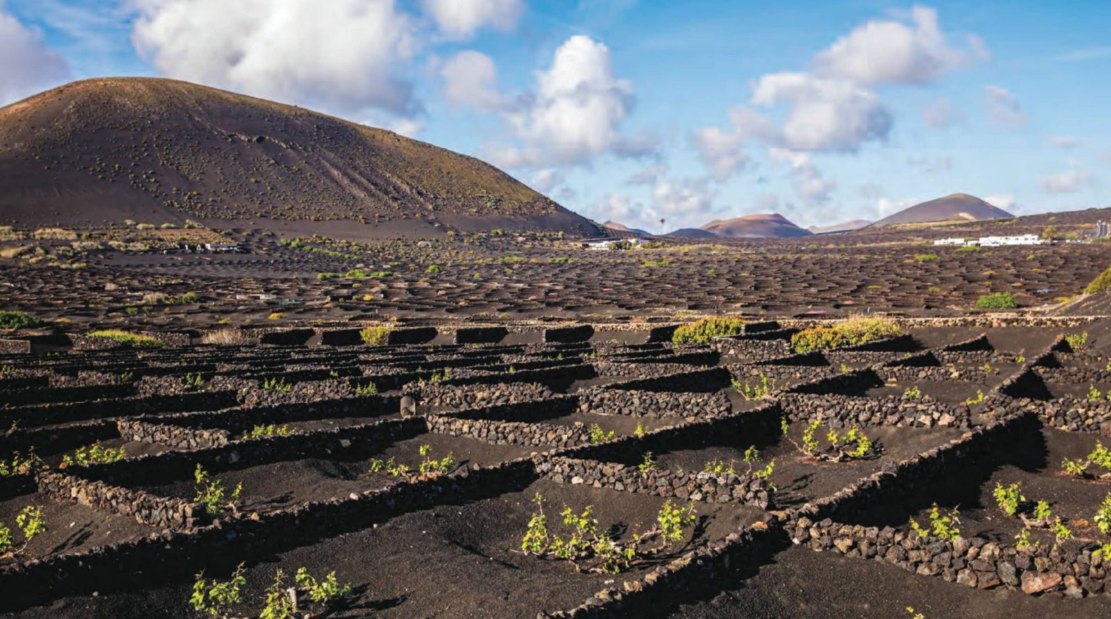 Volcanic Soil Plot