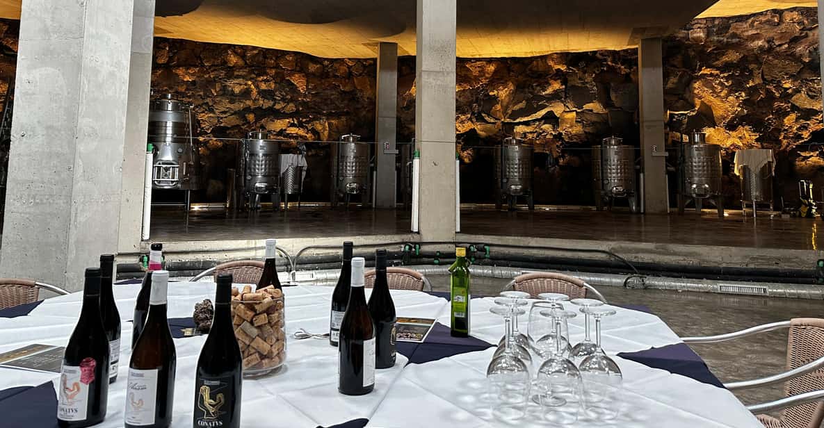 Wine Tasting Fuerteventura