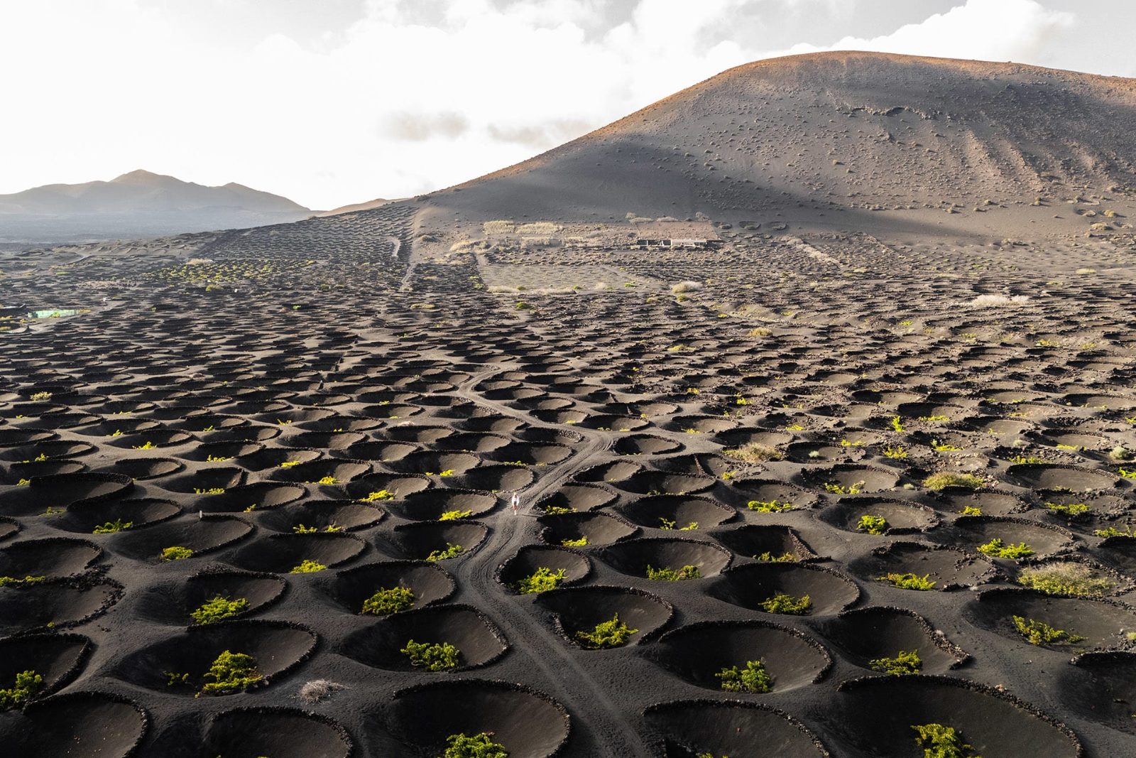 Your experience at Wine Tasting Fuerteventura