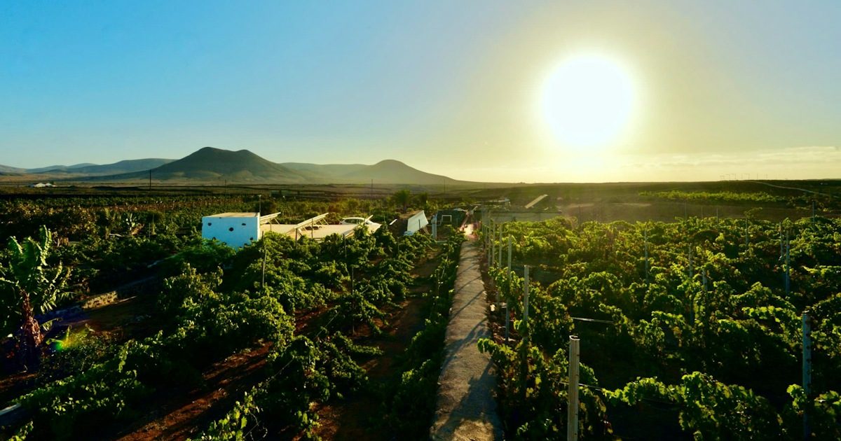Tasting Terrace