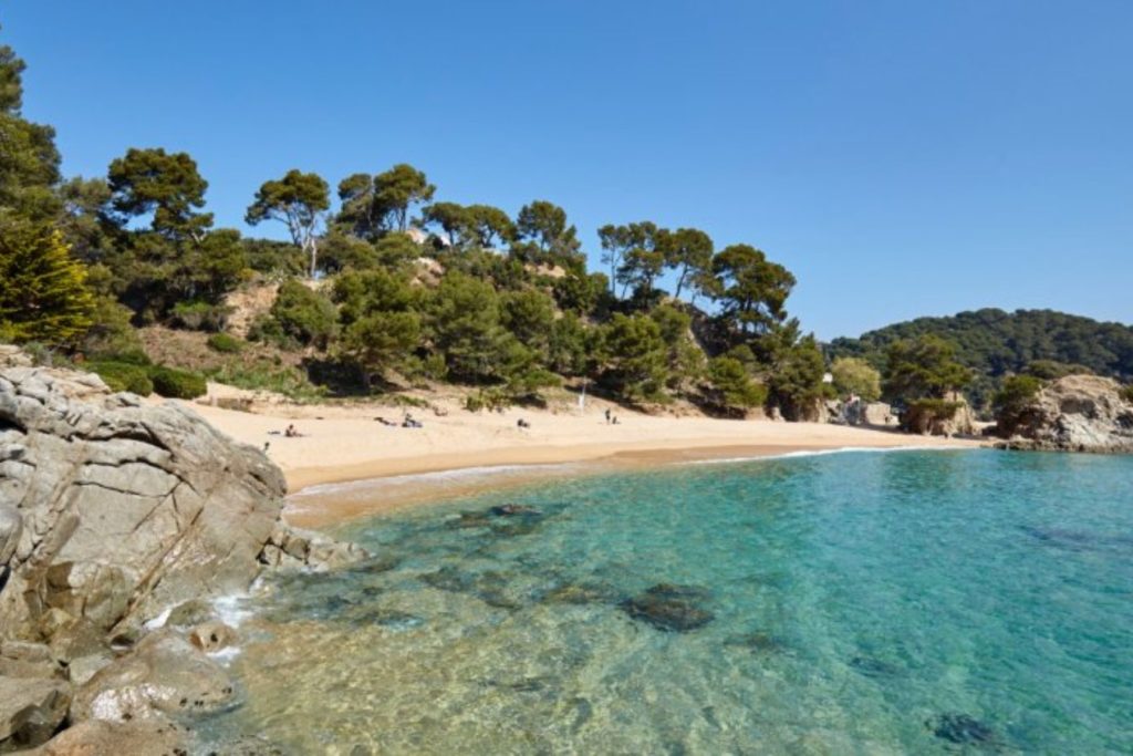 Cala Treumal