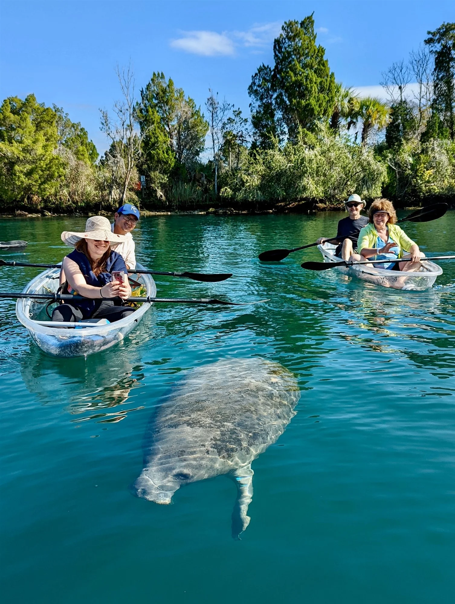 Can You Kayak in Crystal River