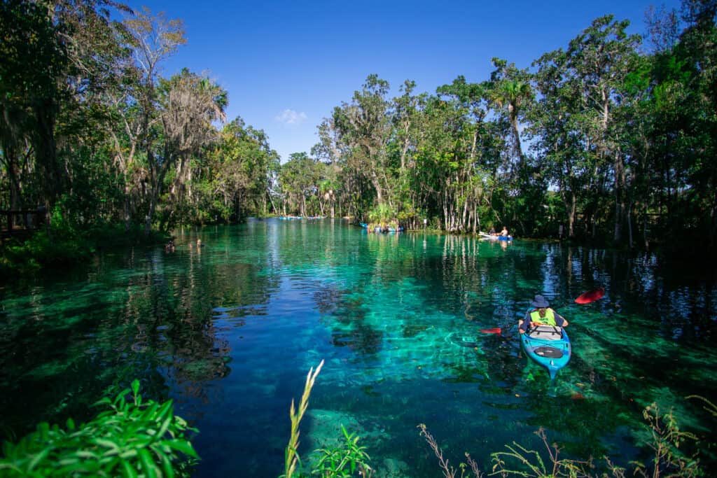 Crystal River Three Sisters Kayak Rental