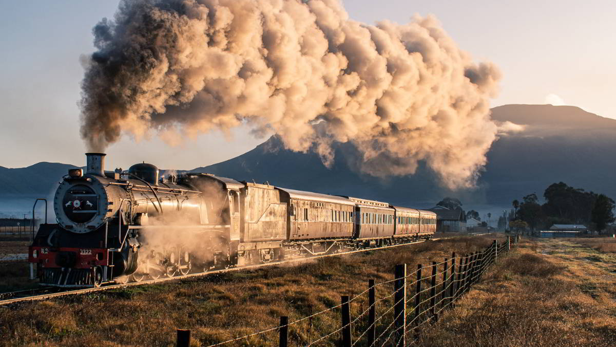 Cape Town to Elgin Train Price