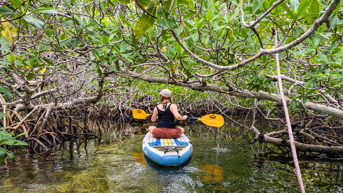 Jones Lagoon