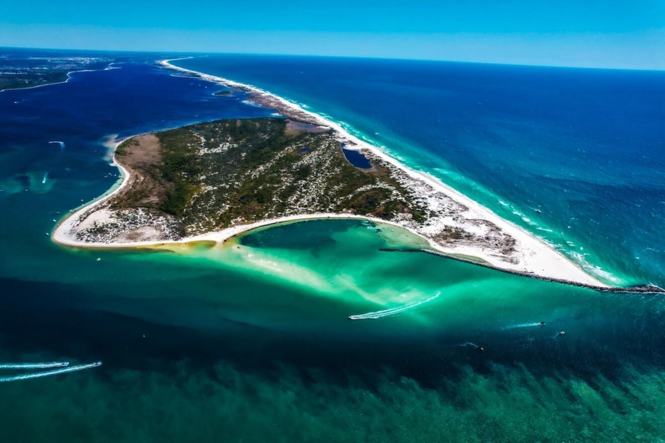 Are There Sharks at Shell Island