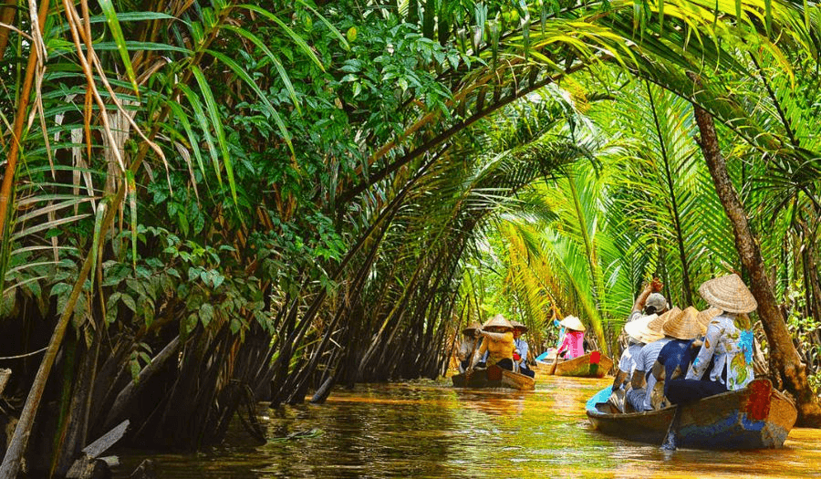Ben Tre Fruit Orchards