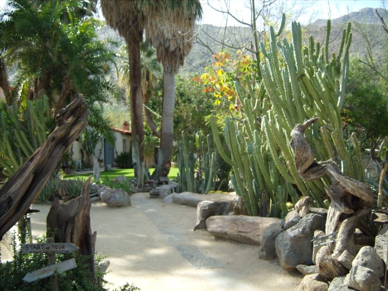 Moorten Botanical Garden