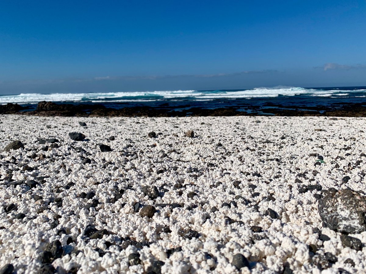 The Western Inlet
