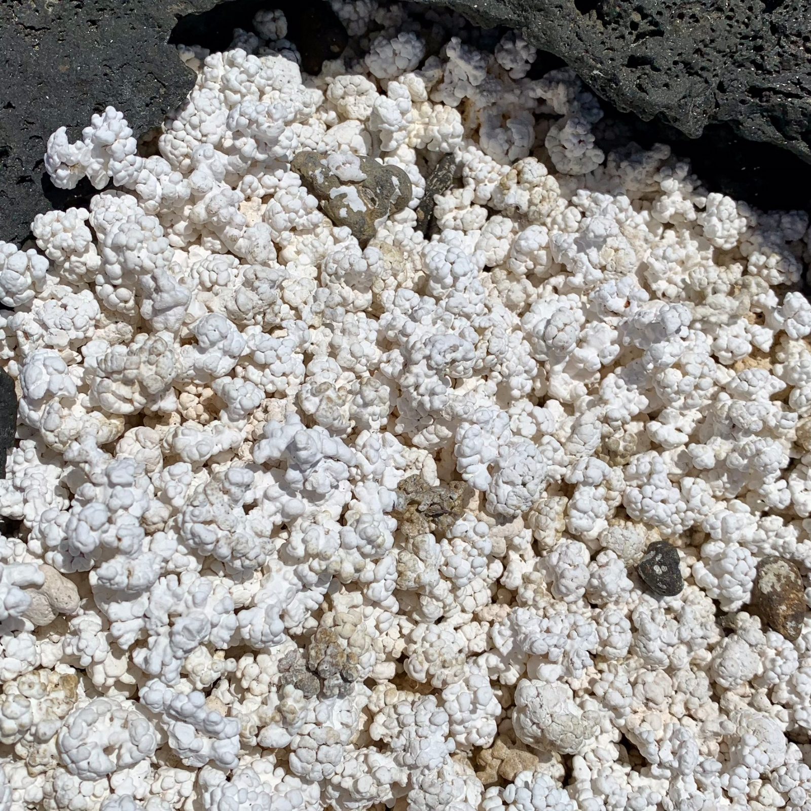 Popcorn Beach Main Shoreline