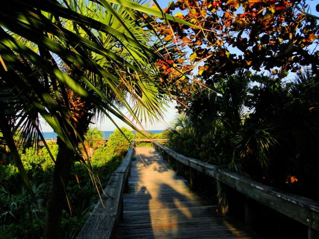 Lori Wilson Park