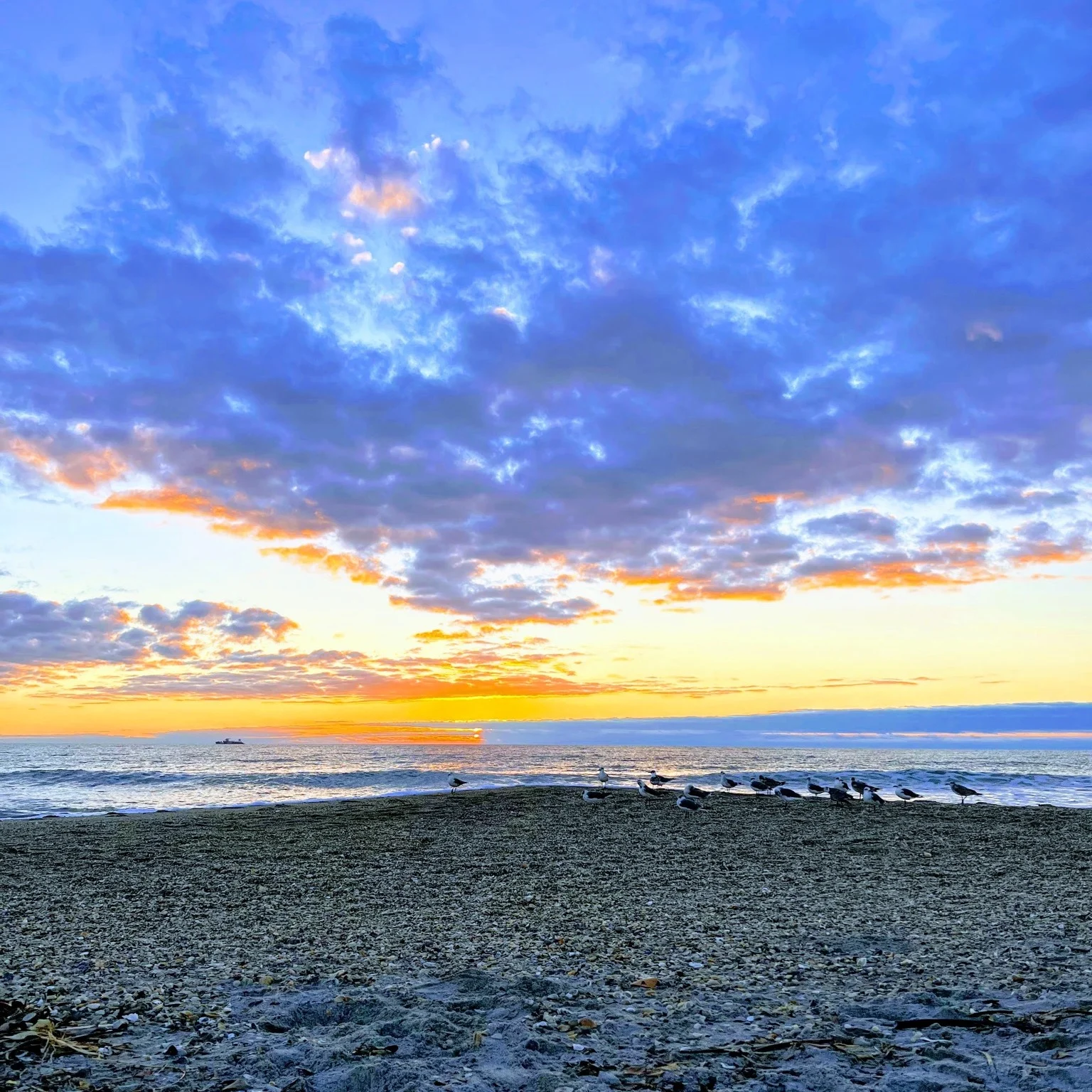 Alan Shepard Park