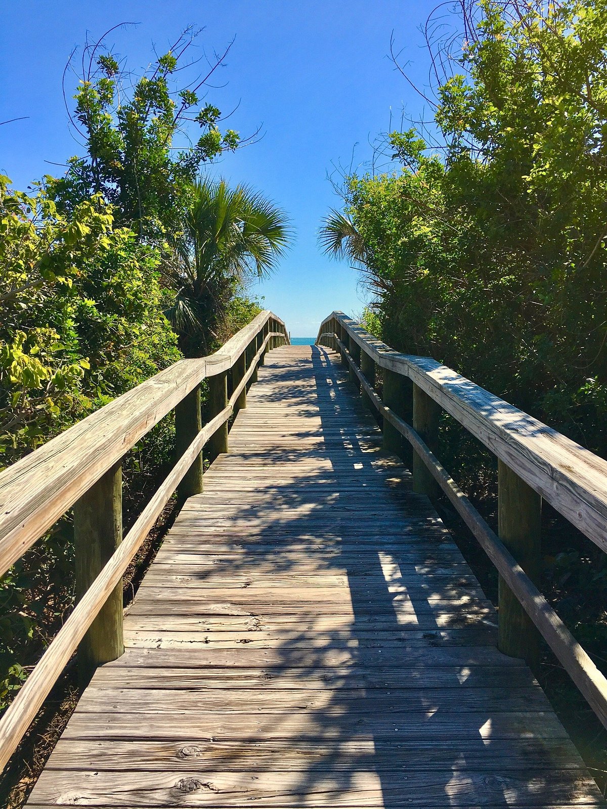 Sidney Fischer Park