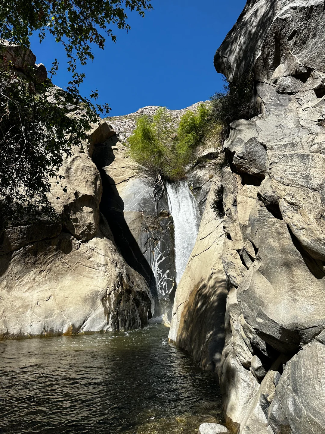 Tahquitz Canyon