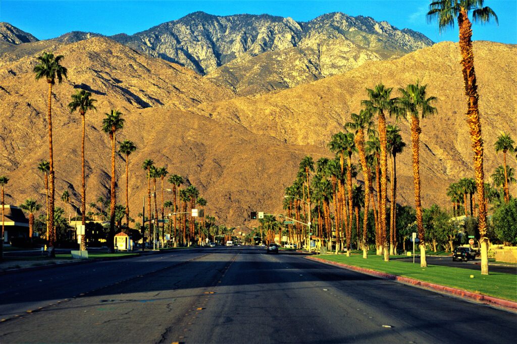 Palm Canyon Drive