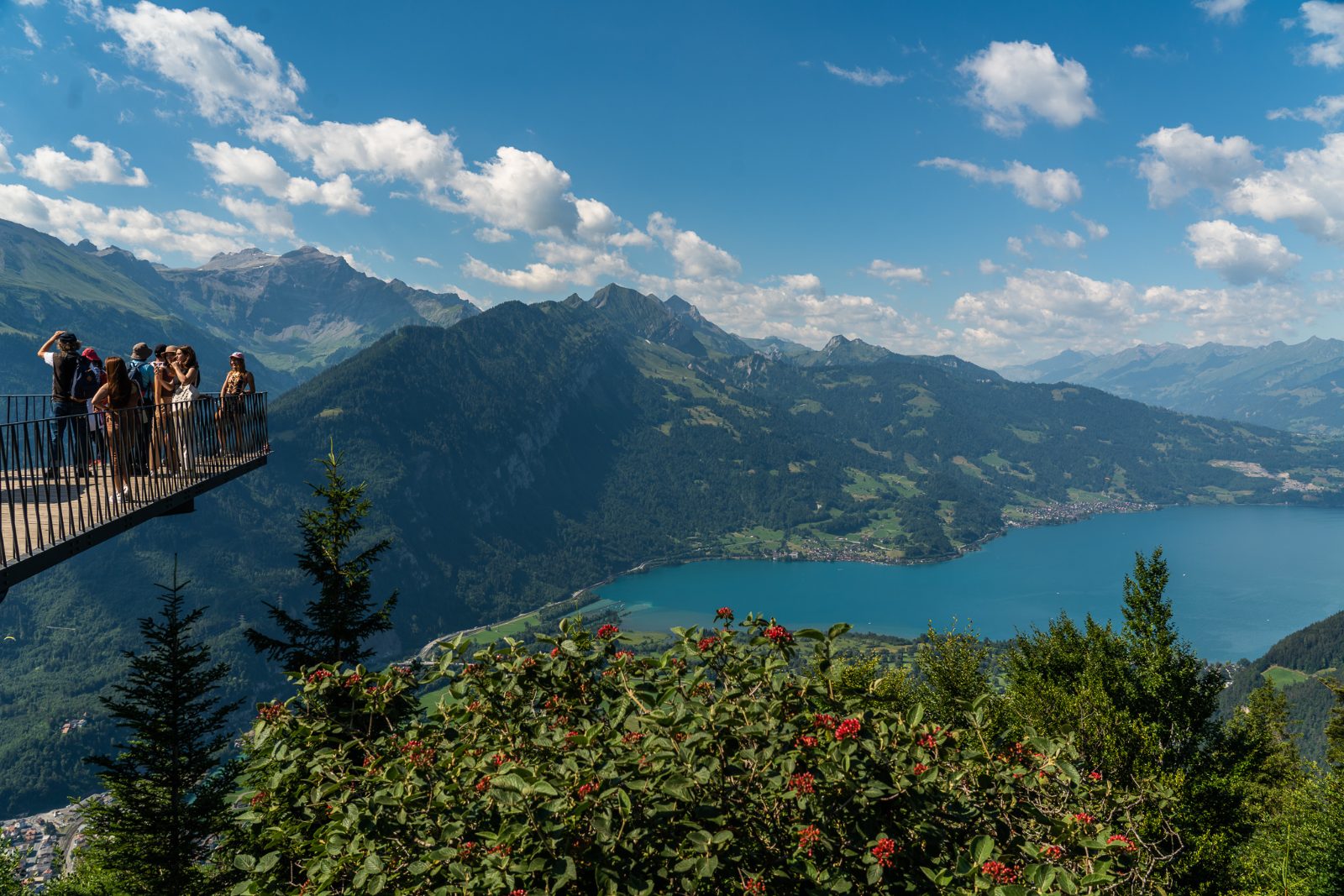 Harder Kulm