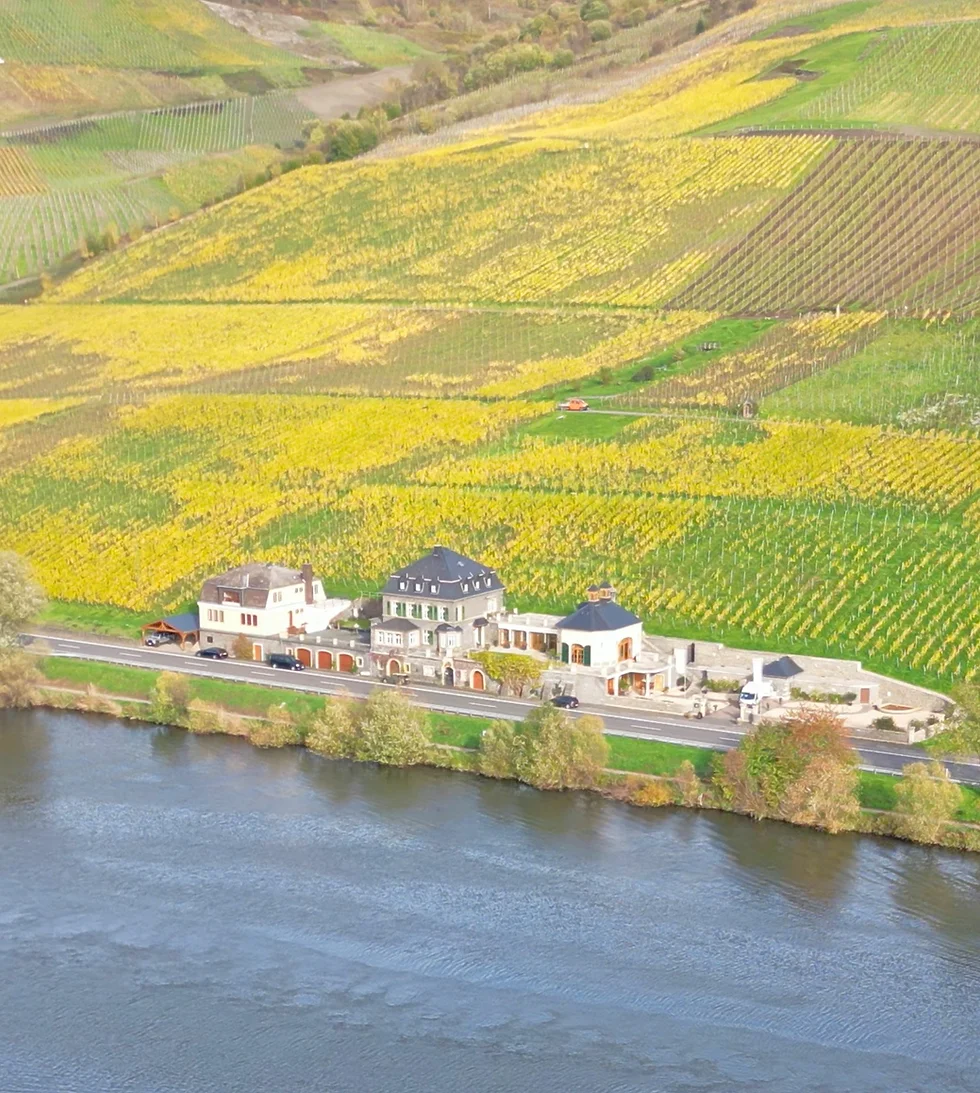 Dr. Loosen Estate