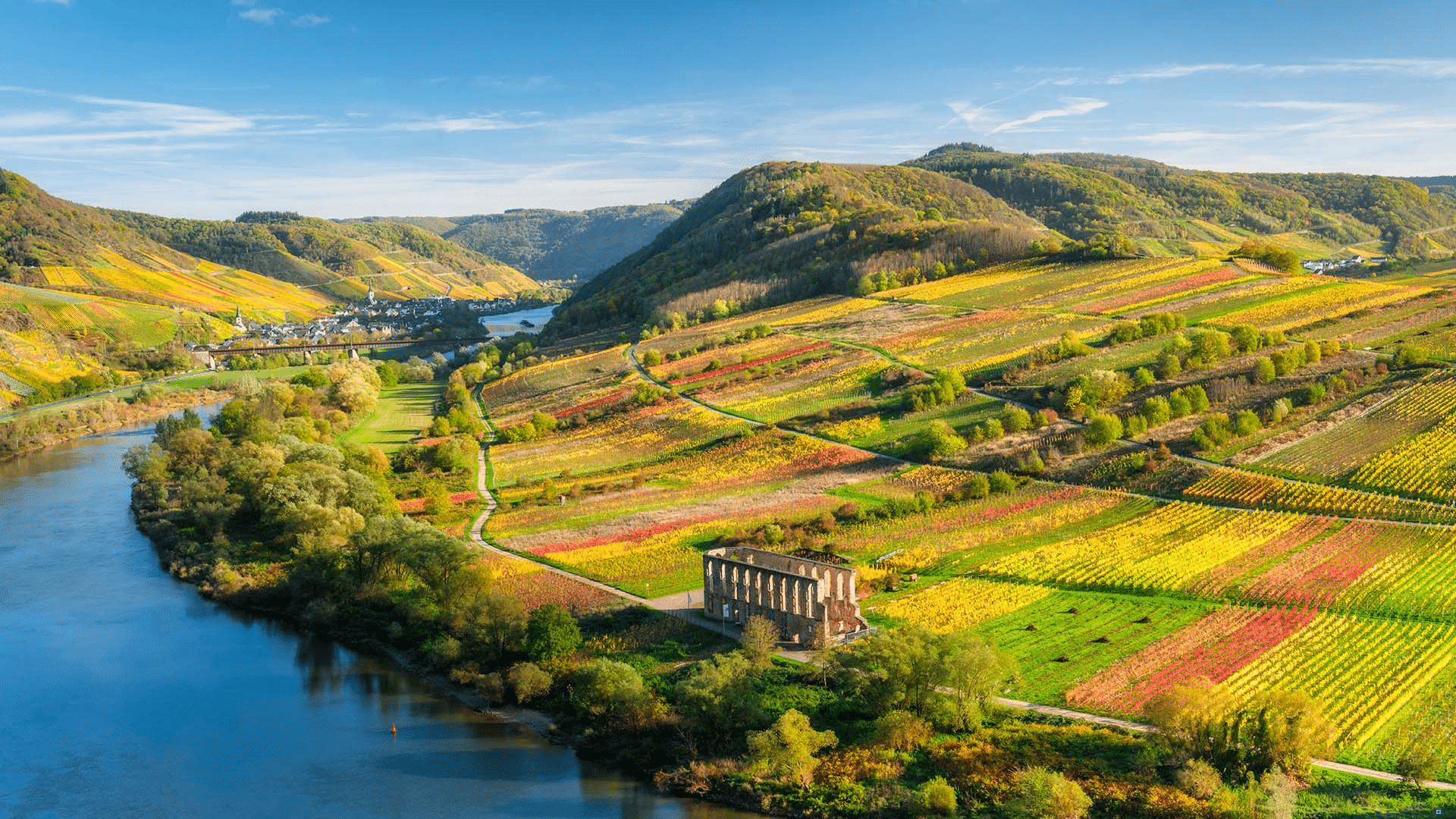 Where Is the Best Place to Go Wine Tasting