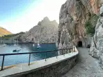 Coastal Cliffs of Escorca