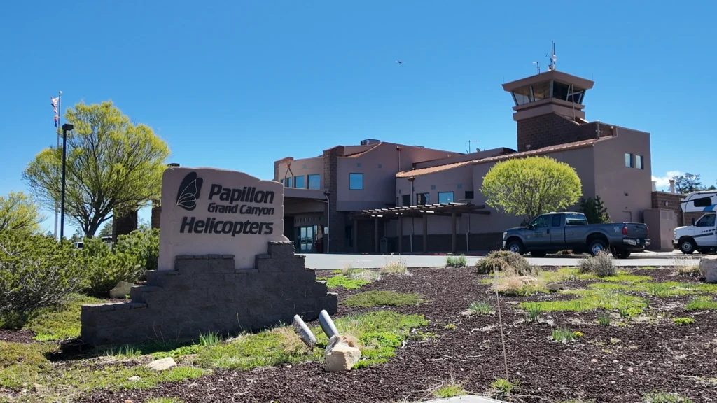 Terminal Arrival & Check-In