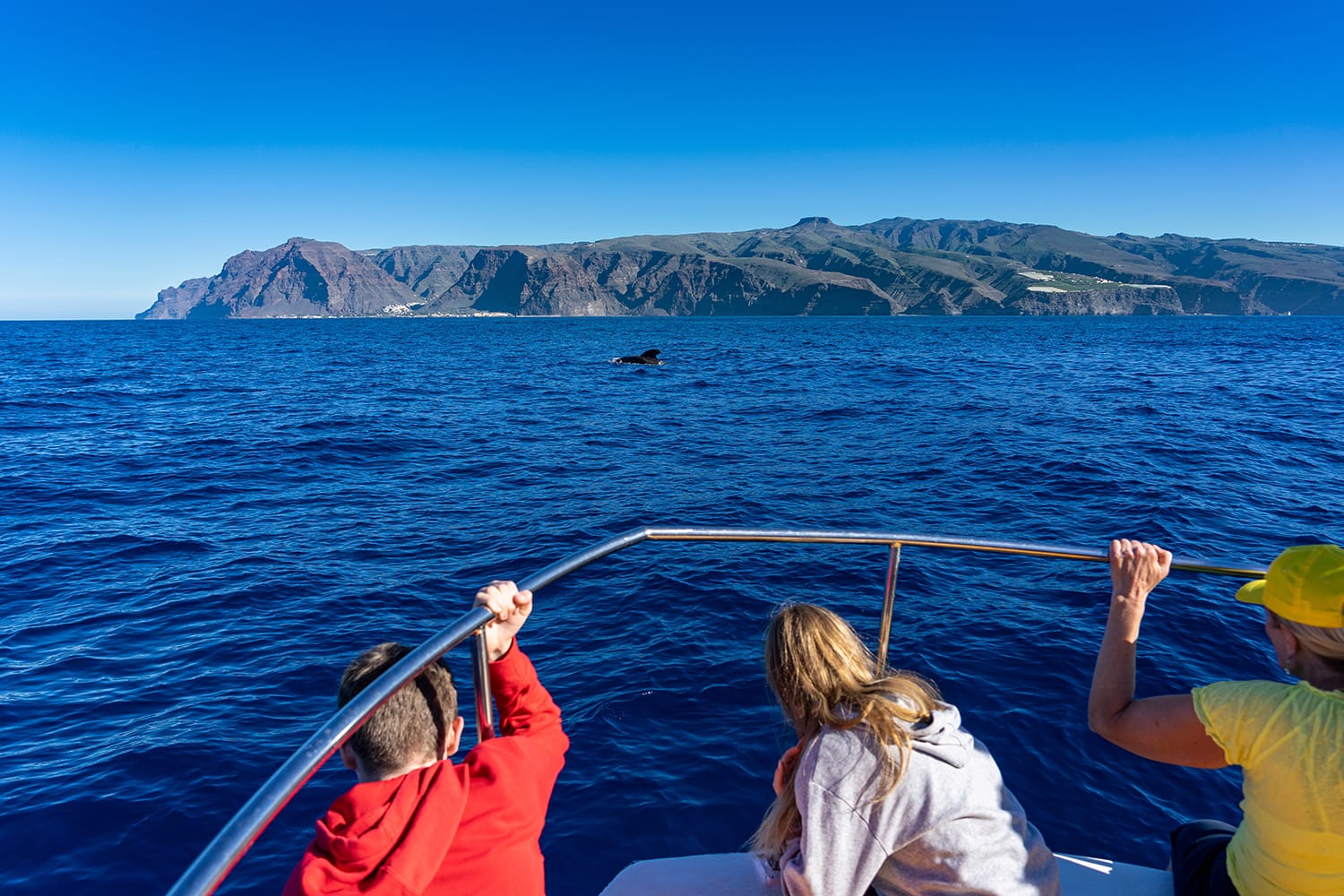 Whale Watching Lanzarote