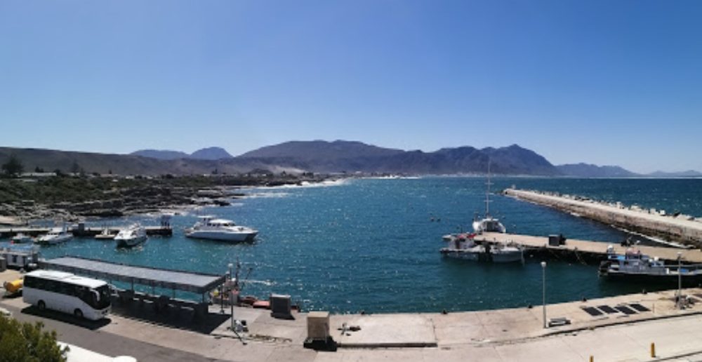 New Harbour Wall